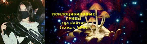 амф Алексин