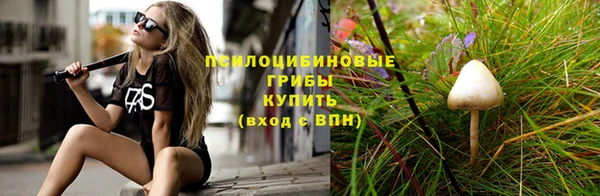 амф Алексин