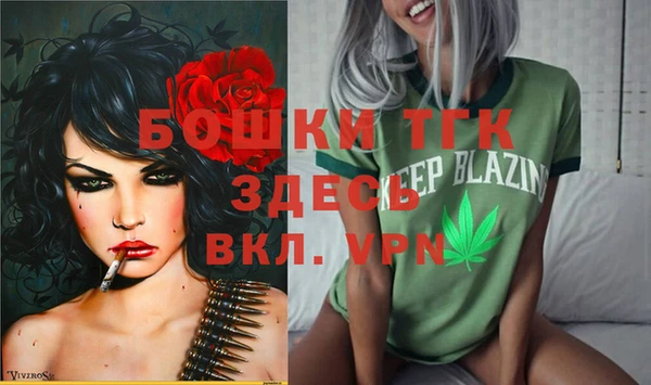 амф Алексин